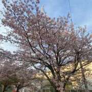 ゆのん ごめんなさい😭 静岡駅前ちゃんこ