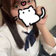 しおり 超絶可愛い子と夢の3P 猫派？犬派？？ L＆Jブラザーズ