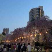 ヒメ日記 2026/04/14 15:56 投稿 もも えぷどる