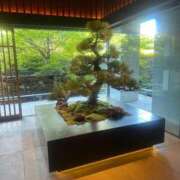 南波 楓 京都🌳 CASA BIANCA（カーサ・ビアンカ）