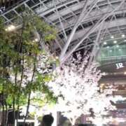 ヒメ日記 2026/04/17 15:30 投稿 かれん 待ちナビ