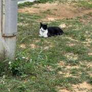 ヒメ日記 2026/04/18 18:46 投稿 えみる アネックスジャパン