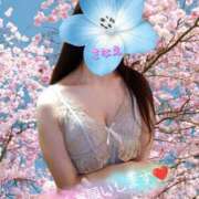 ヒメ日記 2026/04/15 15:42 投稿 さなえ デリピン　ハワイ