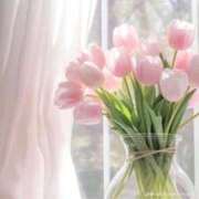 ヒメ日記 2026/04/20 12:47 投稿 天音(あまね) The Most