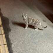 ヒメ日記 2026/04/23 21:48 投稿 光海　杏珠 プルプル倶楽部 札幌すすきの店