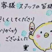 ヒメ日記 2026/06/13 02:04 投稿 中澤京子 五十路マダムエクスプレス船橋店(カサブランカグループ)