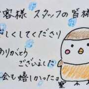 ヒメ日記 2026/07/09 23:44 投稿 中澤京子 五十路マダムエクスプレス船橋店(カサブランカグループ)