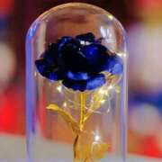 ヒメ日記 2026/04/20 04:58 投稿 あざみ 豊満熟女