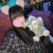 かぐら はじめまして🐱 フォーチュン