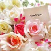 ヒメ日記 2026/04/29 00:08 投稿 深波【みなみ】 丸妻 西船橋店