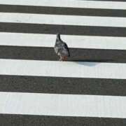 ヒメ日記 2026/06/05 15:09 投稿 せな オナクラ大人女子