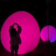 ヒメ日記 2026/04/20 17:46 投稿 せいな 熟女総本店 堺東店