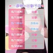 ヒメ日記 2026/05/14 21:08 投稿 いと ハピネス＆ドリーム福岡