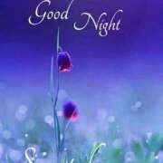 ヒメ日記 2026/04/20 22:46 投稿 新人・すず 人妻花かんざし