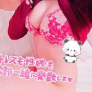 ヒメ日記 2026/06/03 01:30 投稿 みづき 美しい大人の女性＆乙女専門店！花さくら