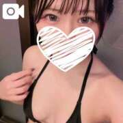 白雪うさ 今日もいるよ〜‼️ Minetto(ミネット)