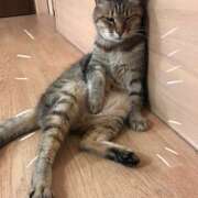 ヒメ日記 2026/06/20 12:03 投稿 New-永峰 彩乃☆清楚とエロスの融合体 MARVELOUS