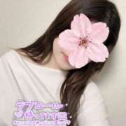 ヒメ日記 2026/04/13 18:50 投稿 えみる 小岩人妻花壇