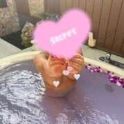 ヒメ日記 2026/04/17 15:18 投稿 のあ 渋谷ちゃんこ