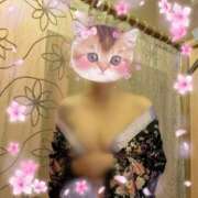 ヒメ日記 2026/04/17 18:11 投稿 中本 麗子 こあくまな人妻・熟女たち山口店（KOAKUMAグループ）