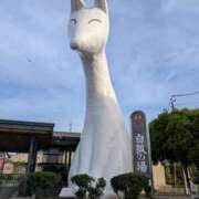 中本 麗子 みつけてくれて　ありがとう♪ こあくまな人妻・熟女たち山口店（KOAKUMAグループ）