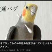 ヒメ日記 2026/05/12 12:16 投稿 池谷いつき ABC 岩手ソープ