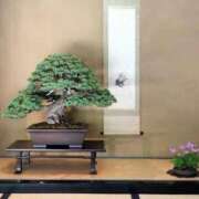 ヒメ日記 2026/04/19 14:37 投稿 葵★（二輪車可） プリマドンナ