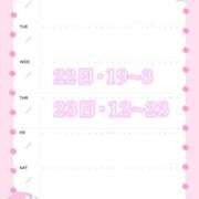 ヒメ日記 2026/04/16 19:05 投稿 ありさ ぽっちゃり巨乳素人専門店ぷにめろ渋谷店