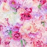 ヒメ日記 2026/04/14 00:52 投稿 みやび 錦センター