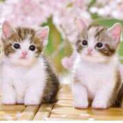 ヒメ日記 2026/04/15 00:12 投稿 みやび 錦センター