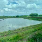 ヒメ日記 2026/05/04 13:50 投稿 そのみ ドリーム水戸