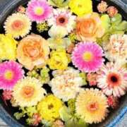 ヒメ日記 2026/04/29 18:26 投稿 晴美 昼顔妻 五反田店