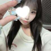 ちょこ しんちゃん！！！ サマンサ(和歌山)