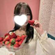 ヒメ日記 2026/04/16 13:30 投稿 ちょこ サマンサ(和歌山)