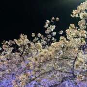 なつき ありがとうございました！ すごいエステ 名古屋店