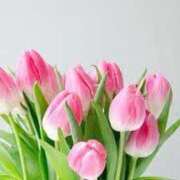 ヒメ日記 2026/04/17 18:14 投稿 みく 待ちナビ