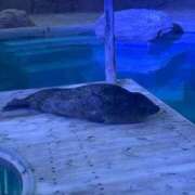 ヒメ日記 2026/08/12 23:22 投稿 あんり♡Fカップピュアガール♡ 即生専門店ゴッドパイ