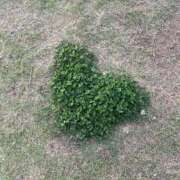 ヒメ日記 2026/04/26 14:23 投稿 きき コーチと私と、ビート板･･･