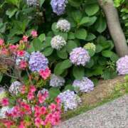 ヒメ日記 2026/05/30 15:04 投稿 なおみ ギン妻パラダイス 堺東店