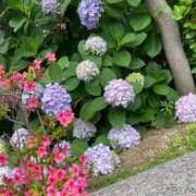 ヒメ日記 2026/07/02 09:45 投稿 なおみ ギン妻パラダイス 堺東店
