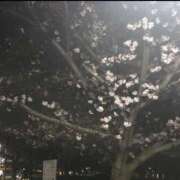 ヒメ日記 2026/07/14 08:43 投稿 なおみ ギン妻パラダイス 堺東店