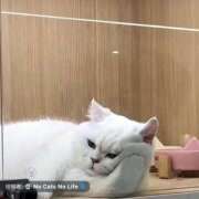 なおみ おはよ🐰ᩚ ギン妻パラダイス 堺東店