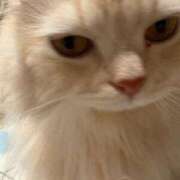 ヒメ日記 2026/06/12 10:33 投稿 まなつ★SS級！坂道系スター★ Chloe鶯谷・上野店 S級素人清楚系デリヘル