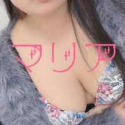 ヒメ日記 2026/04/16 12:02 投稿 まりあ ぽちゃカワイイ！