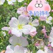 ヒメ日記 2026/06/12 10:49 投稿 ゆあな もしも優しいお姉さんが本気になったら...横浜店