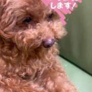 ヒメ日記 2026/06/15 15:09 投稿 ゆあな もしも優しいお姉さんが本気になったら...横浜店