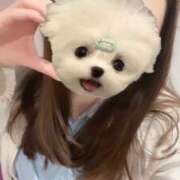 しおり います！ 2980円