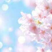 神崎 いおり お礼日記💌4/12💕 ホットアロマ