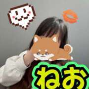 ヒメ日記 2026/05/09 15:39 投稿 ねお モアグループ宇都宮人妻花壇