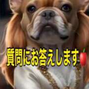 ヒメ日記 2026/05/04 00:00 投稿 ゆめ 尼妻（あまづま）